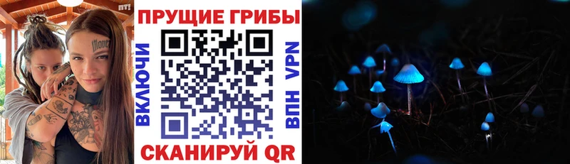 цена   Красноярск  Псилоцибиновые грибы прущие грибы 